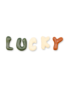 V-Lucky Bone for Dogs 