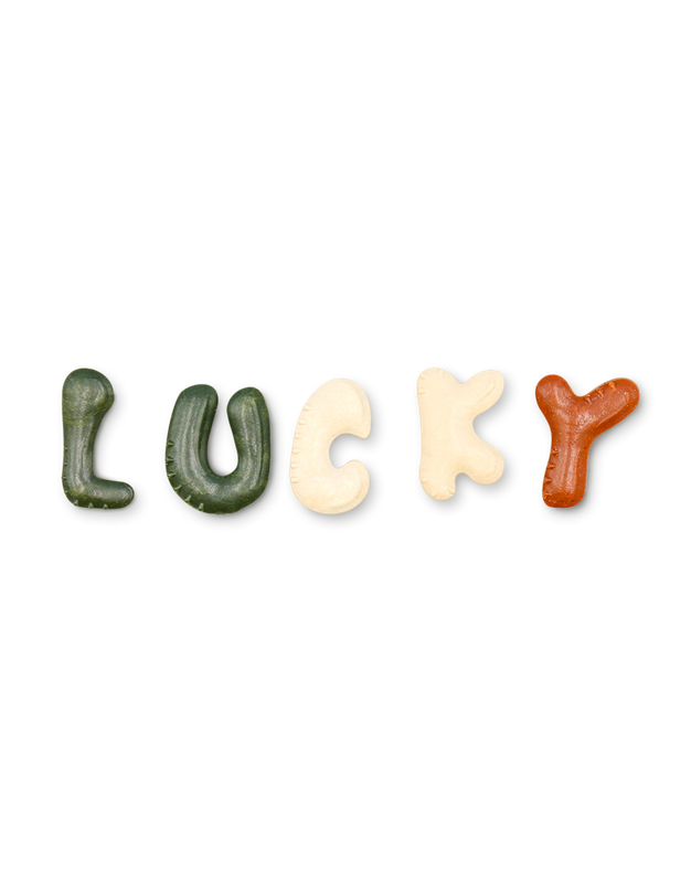 V-Lucky Bone for Dogs 