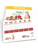 24 Holes Christmas Calendar Treats for Cats 