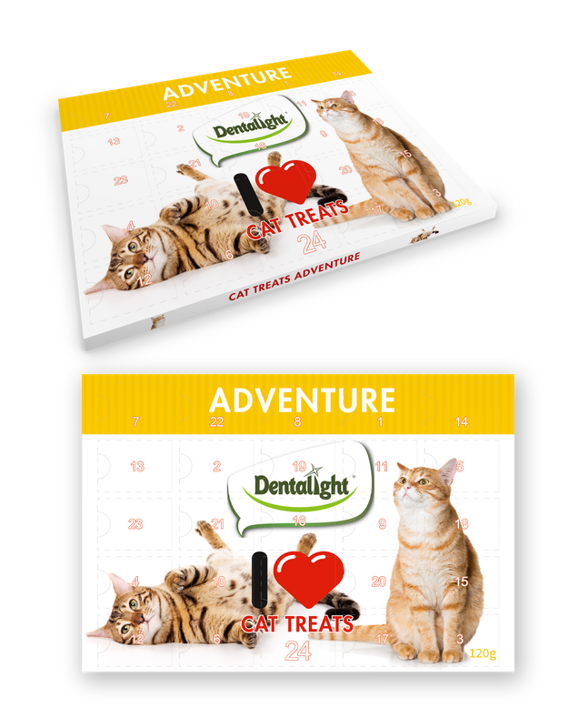 24 Holes Christmas Calendar Treats for Cats 