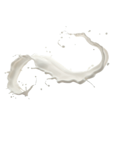 Formulated Goat Milk Powder for Dogs 