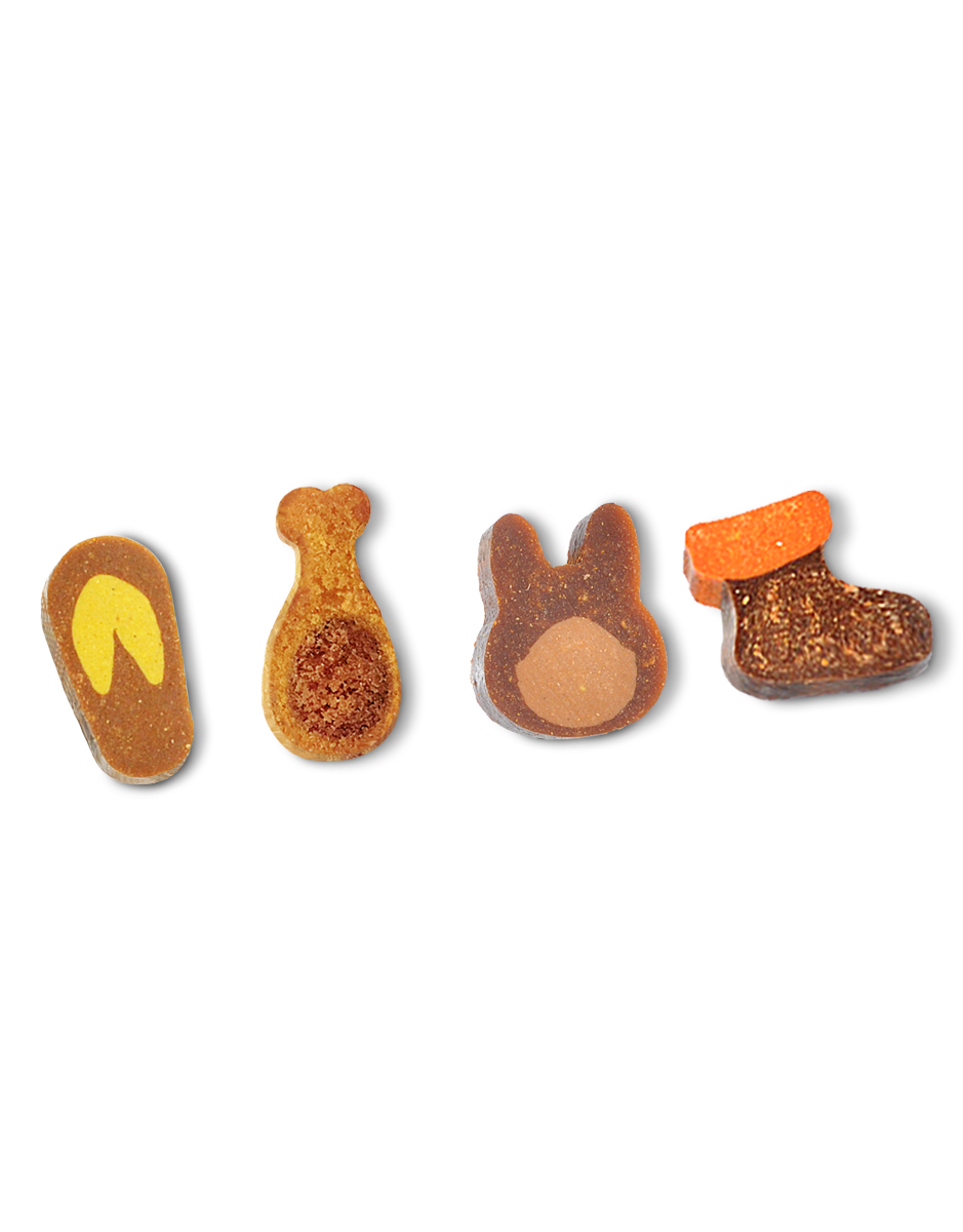 Training Bite Snacks for Dogs