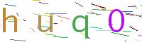 Verify Code