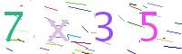 Verify Code