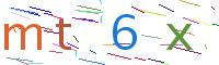 Verify Code